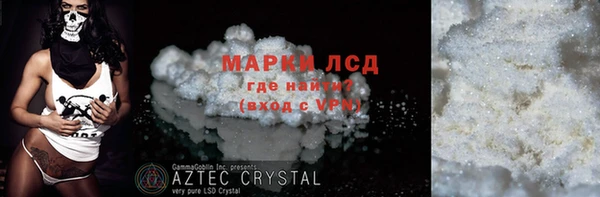 прущие грибы Новозыбков