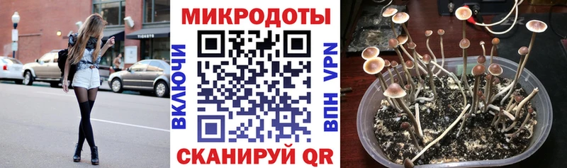 кракен зеркало  Сургут  Псилоцибиновые грибы Cubensis  наркотики 