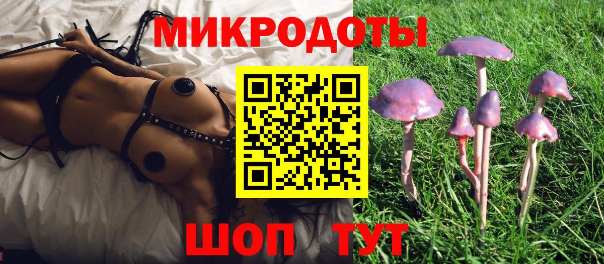 Галлюциногенные грибы Magic Shrooms  Вход с VPN  Сургут 