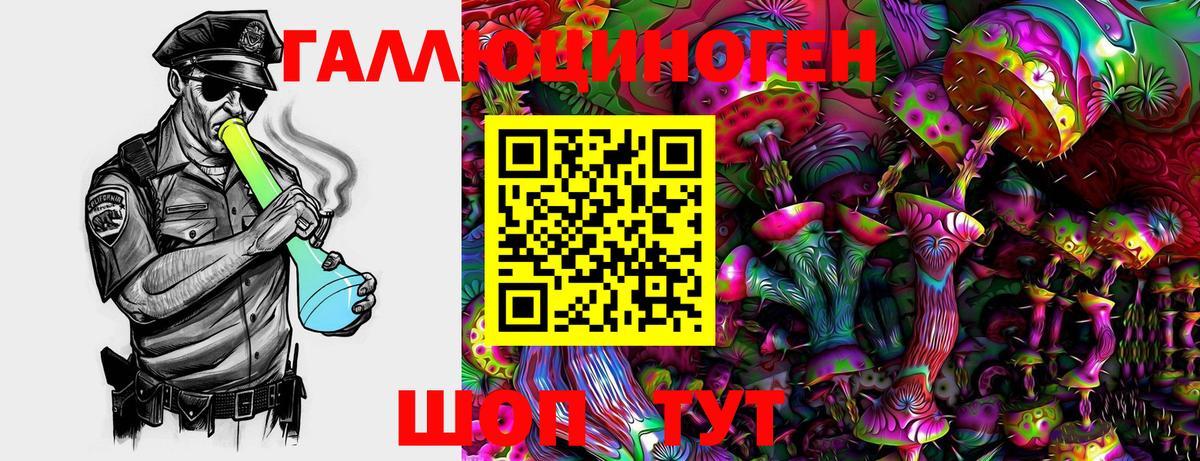 Псилоцибиновые грибы Psilocybine cubensis  Сургут 