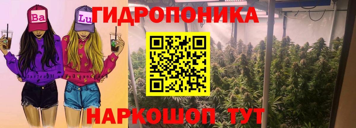 Канабис OG Kush  Вход с VPN  Каннабис SATIVA & INDICA  Шишки марихуана SATIVA & INDICA  Сургут 