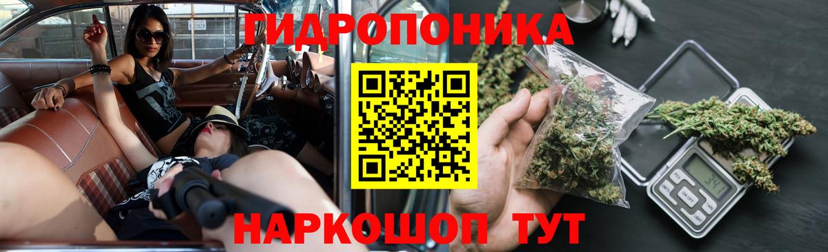 Шишки марихуана ГИДРОПОН Сургут